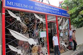 Museum of World Insects and Natural Wonders