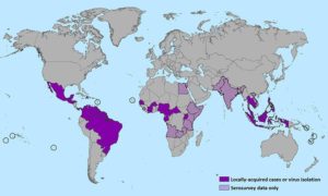 ジカ熱の症例が報告された地域
