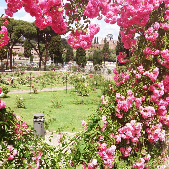 春のローマ観光に無料の「バラ園」はいかが？
